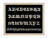Ornamental French Alphabet (black) -  Vintage Reproduction - McGaw Graphics
