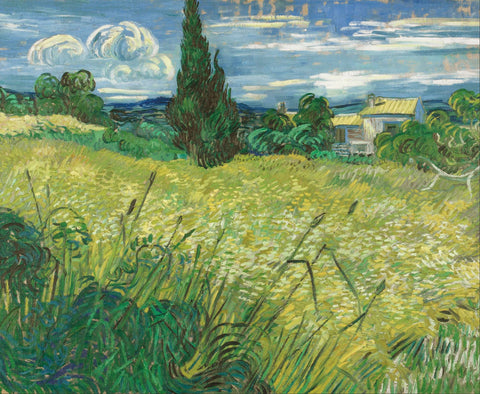 Green Field, 1889 -  Vincent van Gogh - McGaw Graphics