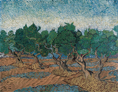 Olive Grove, 1889 -  Vincent van Gogh - McGaw Graphics