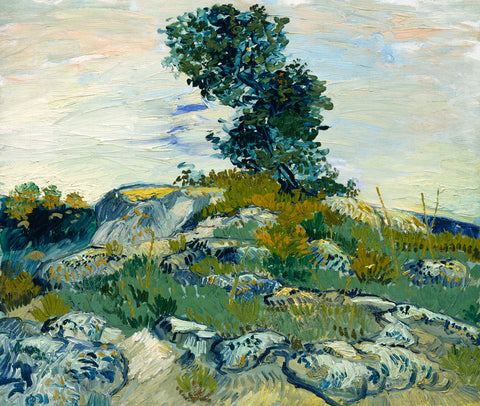 The Rocks, 1888 -  Vincent van Gogh - McGaw Graphics
