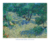 Olive Orchard, 1889 -  Vincent van Gogh - McGaw Graphics