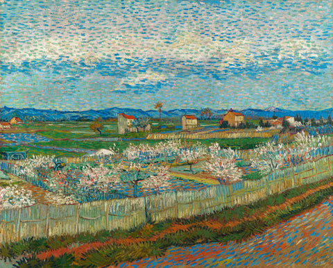 Peach Blossoms in the Crau -  Vincent van Gogh - McGaw Graphics