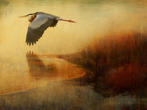 Orange Colorado River Heron -  Chris Vest - McGaw Graphics