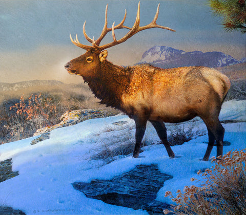 Mountain Elk II -  Chris Vest - McGaw Graphics