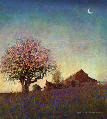 Barn on Hill with Moon -  Chris Vest - McGaw Graphics