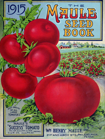 Maule Tomato, 1915 -  Vintage Sophie - McGaw Graphics