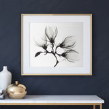 Vintage Magnolia Branch with Four Flowers -  Vintage Photography - McGaw Graphics