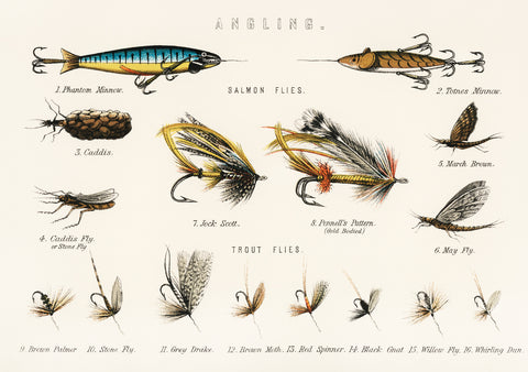 Angling Baits, 1879 -  Vintage Reproduction - McGaw Graphics