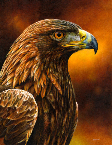Royal Profile - Golden Eagle