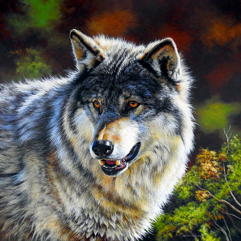 Grey Wolf Portrait