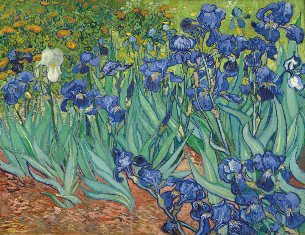 Irises in the Garden | McGaw Graphics