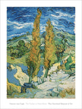 The Poplars at Saint-Rémy, 1889 -  Vincent van Gogh - McGaw Graphics