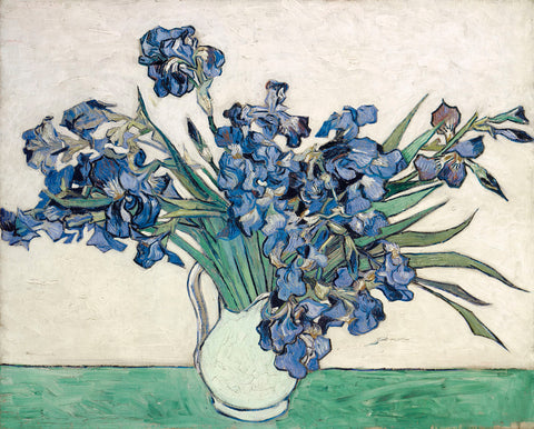 Irises -  Vincent van Gogh - McGaw Graphics