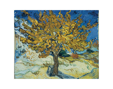 The Mulberry Tree, 1889 -  Vincent van Gogh - McGaw Graphics