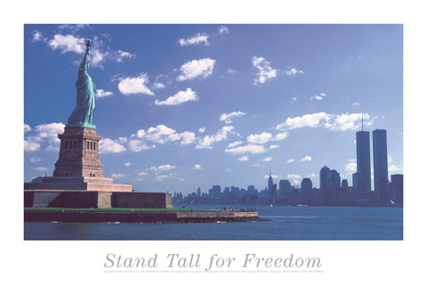 Stand Tall for Freedom -  Steve Vidler - McGaw Graphics