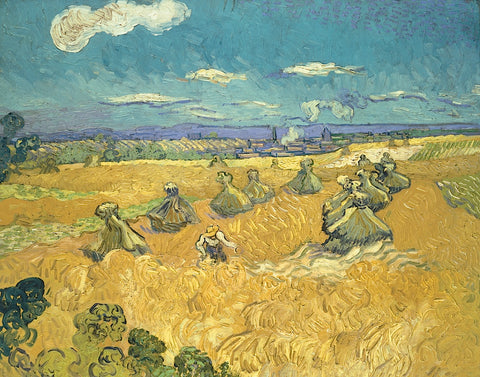 The Wheat Field, 1888 -  Vincent van Gogh - McGaw Graphics