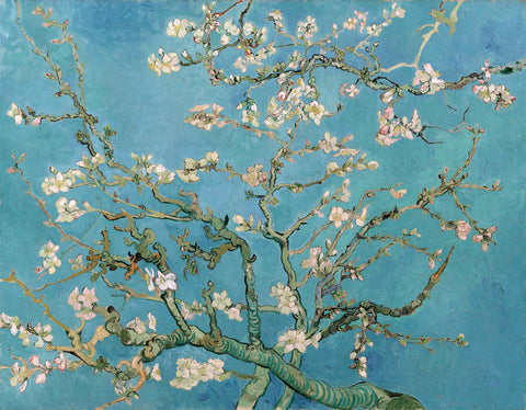 Almond Blossom, 1890 -  Vincent van Gogh - McGaw Graphics