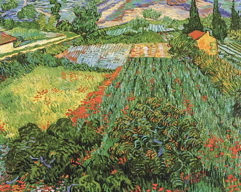 Field of Poppies, Saint-Remy, c. 1889 -  Vincent van Gogh - McGaw Graphics