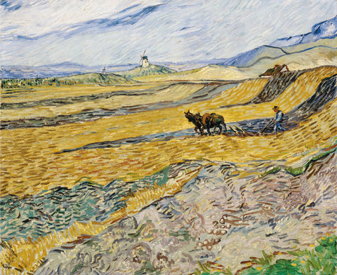 Enclosed Field with Ploughman -  Vincent van Gogh - McGaw Graphics