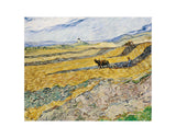 Enclosed Field with Ploughman -  Vincent van Gogh - McGaw Graphics