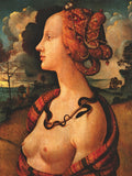 Portrait of Simonetta Vespucci,  c. 1480 -  Piero di Cosimo Vespucci - McGaw Graphics