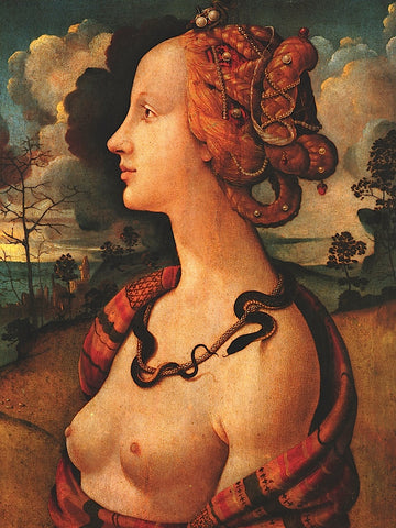 Portrait of Simonetta Vespucci,  c. 1480 -  Piero di Cosimo Vespucci - McGaw Graphics