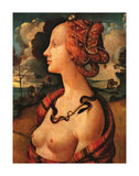 Portrait of Simonetta Vespucci,  c. 1480 -  Piero di Cosimo Vespucci - McGaw Graphics