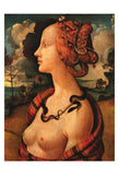 Portrait of Simonetta Vespucci,  c. 1480 -  Piero di Cosimo Vespucci - McGaw Graphics