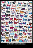 100 Cats and a Mouse -  Vittorio - McGaw Graphics