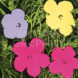 Flowers, 1970 (1 purple, 1 yellow, 2 pink) -  Andy Warhol - McGaw Graphics
