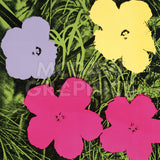 Flowers, 1970 (1 purple, 1 yellow, 2 pink) -  Andy Warhol - McGaw Graphics