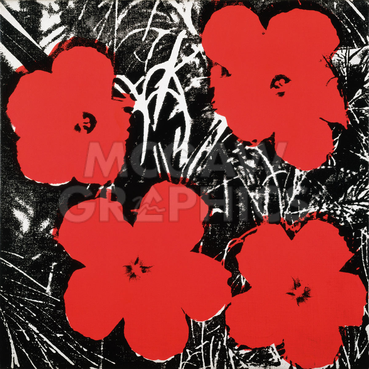 絵画 Ruby-red Flowers Red Watercolor Poppies Follow Your Dreams Ruby Red Dorothy