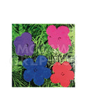 Flowers, c. 1964 (1 purple, 1 blue, 1 pink, 1 red) -  Andy Warhol - McGaw Graphics