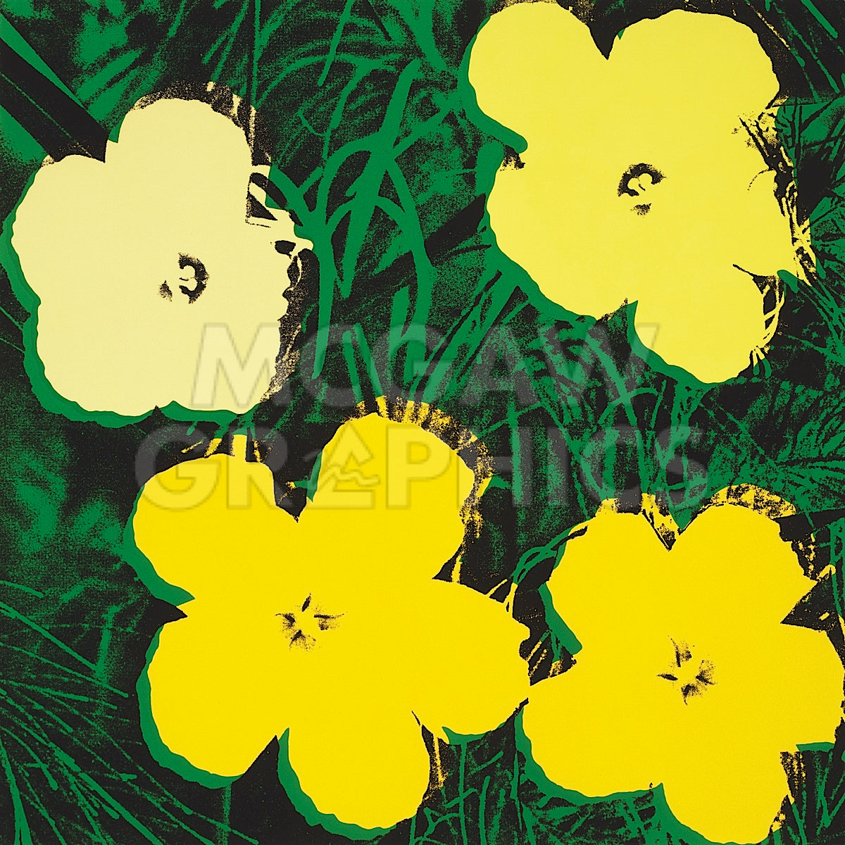Flowers, 1970 (4 yellow) | McGaw Graphics
