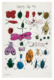 Happy Bug Day, 1954 -  Andy Warhol - McGaw Graphics