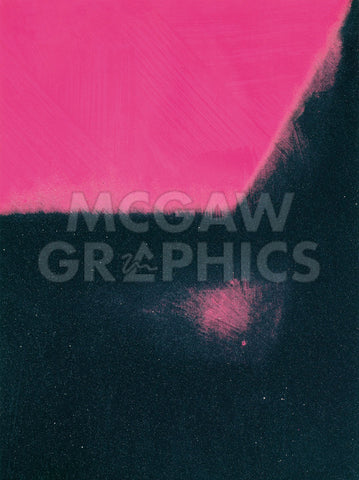 Shadows I, 1979 (black and pink) -  Andy Warhol - McGaw Graphics