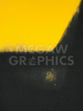 Shadows II, 1979 -  Andy Warhol - McGaw Graphics