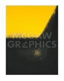 Shadows II, 1979 -  Andy Warhol - McGaw Graphics