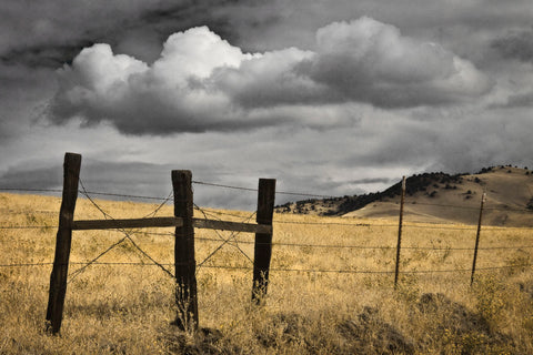 Siskiyou County Landscape -  David Lorenz Winston - McGaw Graphics