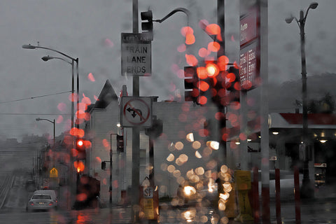 SF Early and Wet -  David Lorenz Winston - McGaw Graphics