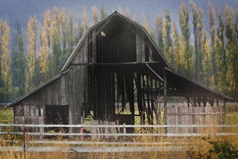 Barn and Poplars -  David Lorenz Winston - McGaw Graphics