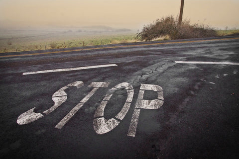 Stop Landscape -  David Lorenz Winston - McGaw Graphics