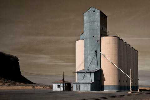 Grain Elevator -  David Lorenz Winston - McGaw Graphics