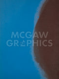 Shadows II, 1979 (blue) -  Andy Warhol - McGaw Graphics