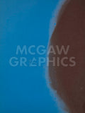 Shadows II, 1979 (blue) -  Andy Warhol - McGaw Graphics