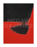 Shadows II, 1979 (red) -  Andy Warhol - McGaw Graphics