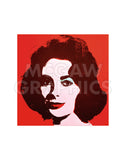 Liz, 1963 (red) -  Andy Warhol - McGaw Graphics