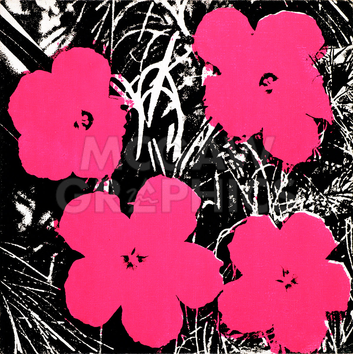 Flowers, 1965 (hot pink) | McGaw Graphics