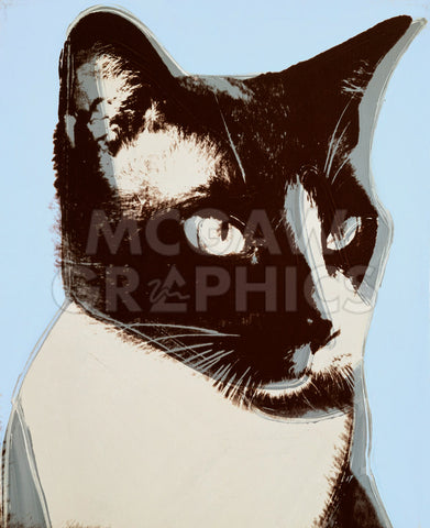 Cats and Dogs (Broadway), 1976 -  Andy Warhol - McGaw Graphics