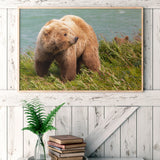 Brown Bear with Cub, Alaska -  Art Wolfe - McGaw Graphics